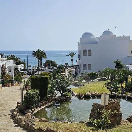 Puntazo Ii (adults Only) 4*